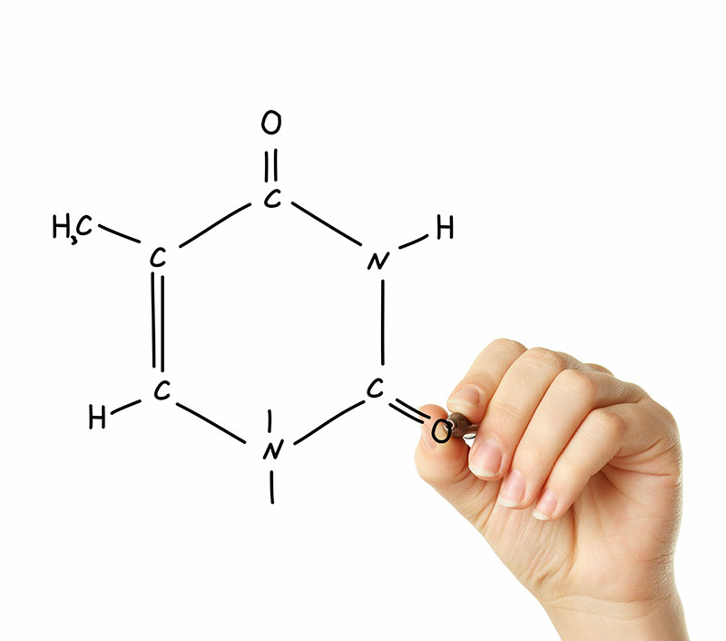 {:tr}Enzimler{:}{:en}Enzymes{:}